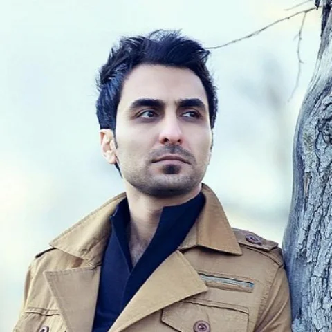 دانلود آهنگ امین حبیبی روزهای دلتنگی