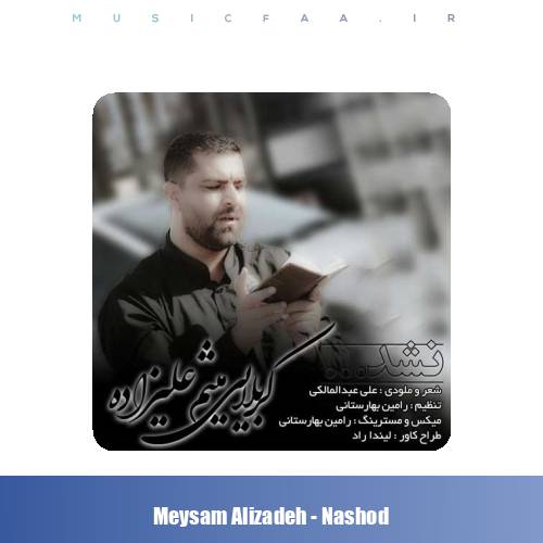 دانلود آهنگ میثم علیزاده نشد