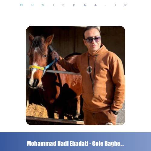 دانلود آهنگ محمد هادی عبادتی گل باغ شیراز