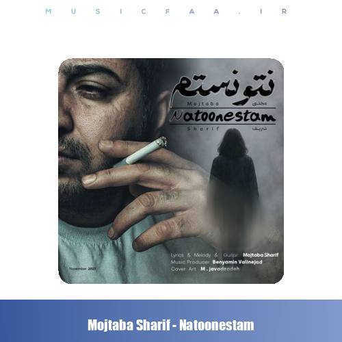 دانلود آهنگ مجتبی شریف نتونستم