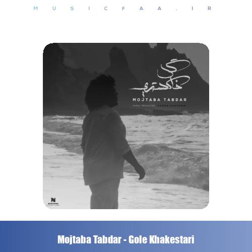 دانلود آهنگ مجتبی تابدار گل خاکستری