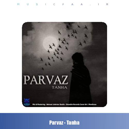 دانلود آهنگ پرواز تنها