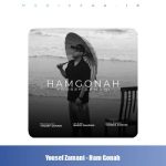 دانلود آهنگ یوسف زمانی هم گناه