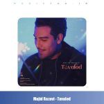 دانلود آهنگ مجید رضوی تولد