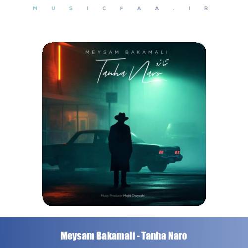 دانلود آهنگ میثم باکمالی تنها نرو