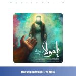 دانلود آهنگ محسن چاوشی یا مولا