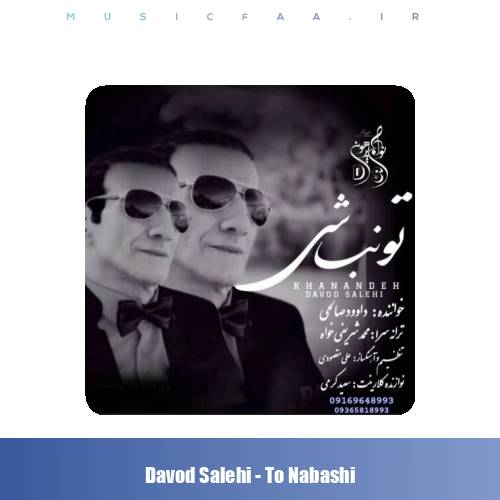 دانلود آهنگ داوود صالحي تو نباشي